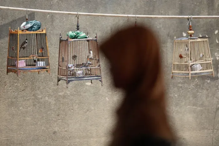 Framed Print : A woman walks past birdcages after she crossed the border from Malaysia into Thailand in