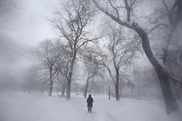 A woman walks down a road in blizzard conditions in Chicago