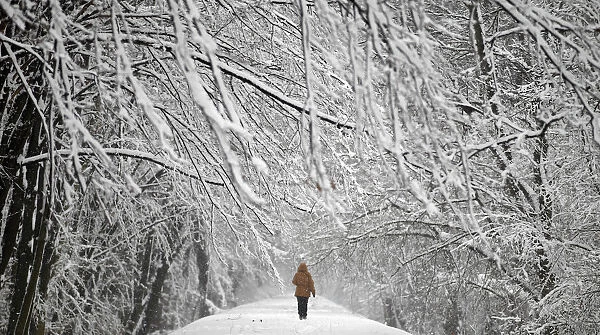 A woman walks through snow covered Mlociny Park following heavy snow fall in Warsaw