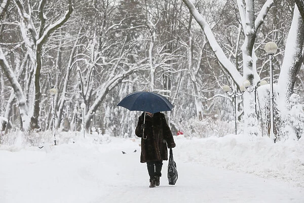 A woman walks under an umbrella in a park in central Kiev