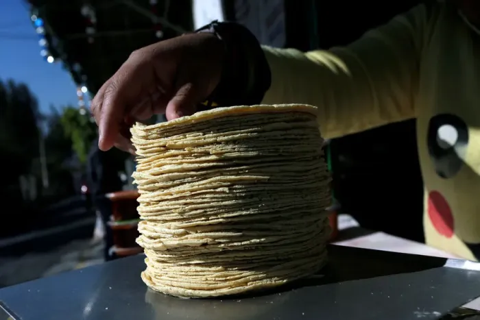 Framed Print : Woman weighs a stack of freshly made corn tortillas at factory in Mexico City Framed Print : Woman weighs a stack of freshly made corn tortillas at factory in Mexico City