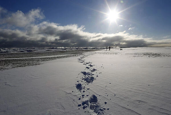 Two women walk their dogs along a frozen snow covered beach in Chicago