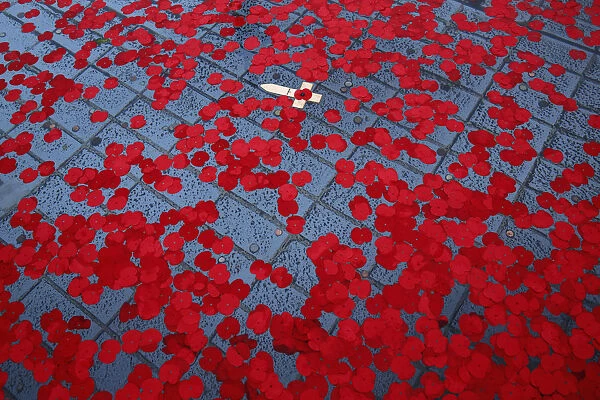 A wooden cross floats amongst poppies that have been thrown into a fountain in Trafalgar