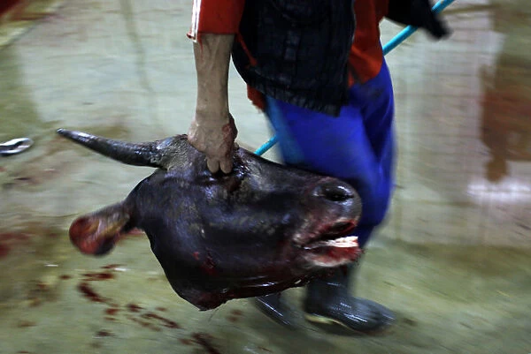 A worker carries a cows head at Cakung slaughterhouse in Jakarta