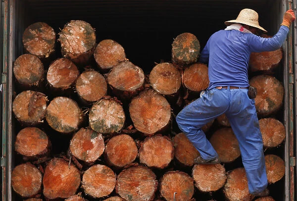 A worker climbs into a truck delivering timber at a woodyard in Tianjin