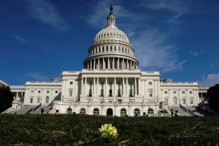 Framed Print : A yellow carnation flower laid by activists rests on the West lawn of the U. S Framed Print : A yellow carnation flower laid by activists rests on the West lawn of the U. S