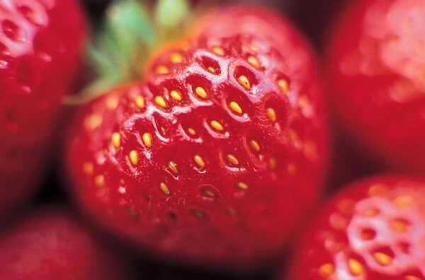 Close up of Strawberries