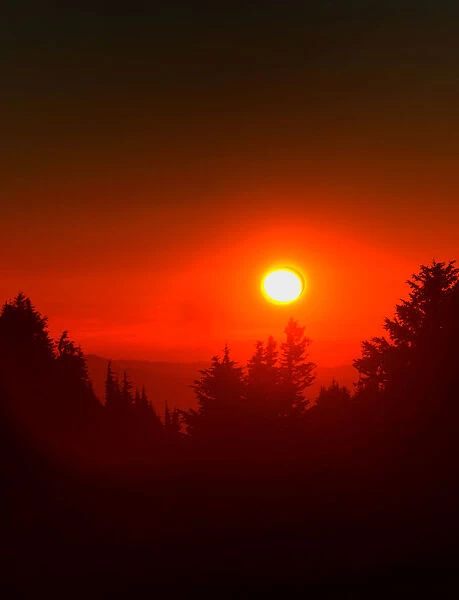 USA, Oregon, Crater Lake National Park. Sunset over forest