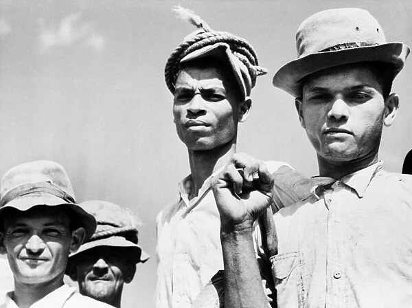 PUERTO RICO: WORKERS, 1941. Sugar cane workers on a plantation in Arecibo, Puerto Rico