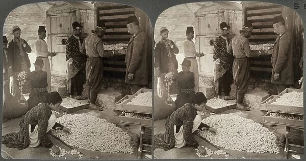 TURKEY: SILKWORMS, c1913. Deadening worms in silk cocoons by steam in Antioch, Turkey