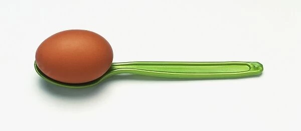Brown egg on green spoon