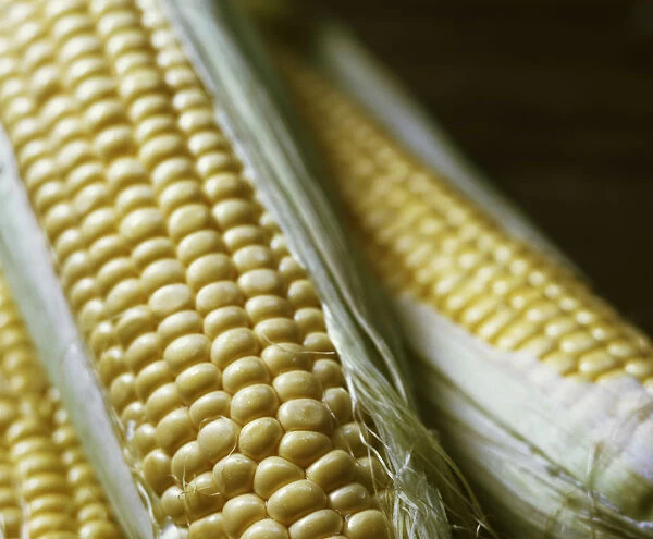 Close-up of a section of fresh corn on the cob