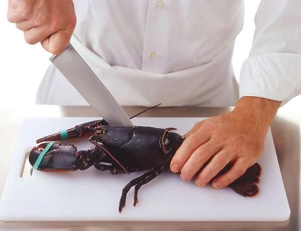 Putting tip of a large knife into lobsters head and cutting straight down, side view