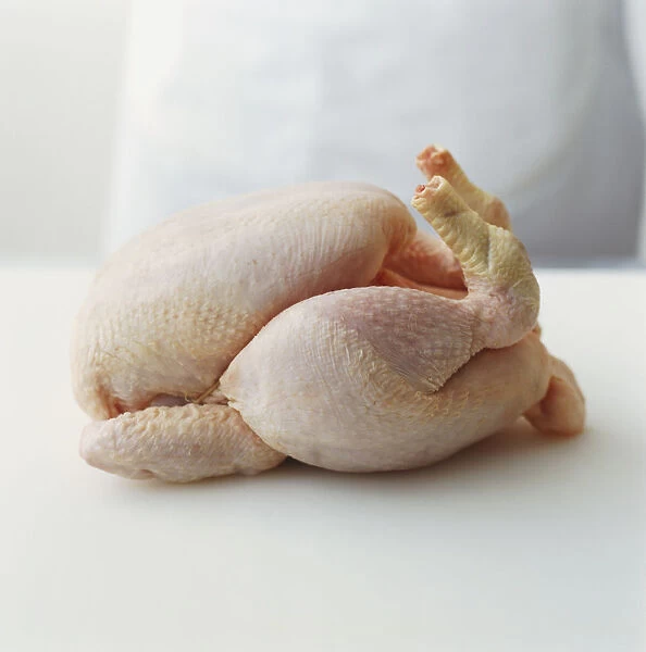 Whole raw chicken, side view