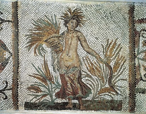 Tunisia, Oudna Mosaic of Allegory of Summer with Ceres harvesting wheat, ancient Uthina