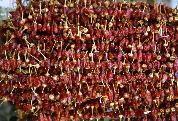 Turkey, red chilli peppers for sale at market, close up