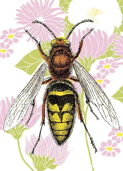 Bee on Flower Wallpaper