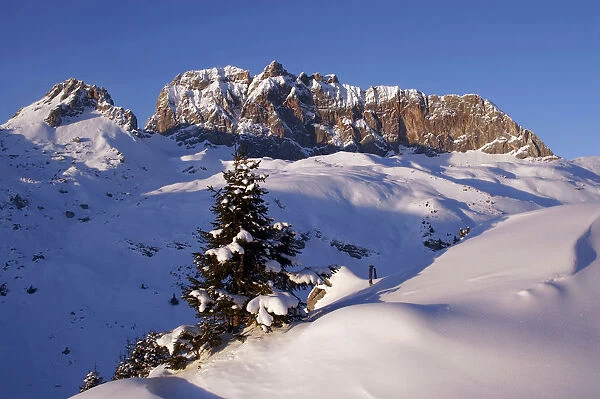 Mt Rote Wand, Lechquellengebirge, Lechquellen range, Vorarlberg, Austria, Europe