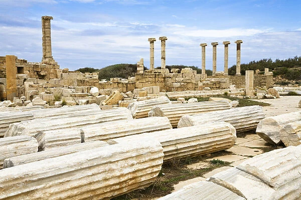 Old Forum, Leptis Magna, Libya, North Africa, Africa