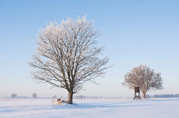 Winter landscape, Lower Saxony, Germany, Europe