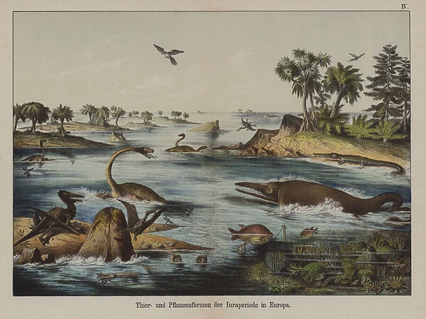 Animals and plants of the Jurassic Period in Europe (colour litho)