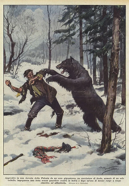 Attacked in a forest in Poland by a giant bear, a poacher... (colour litho)