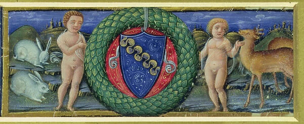 The Coat of Arms of the Marcello Family (vellum)
