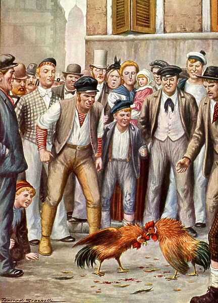 Cock-fighting in London in the late 19th century