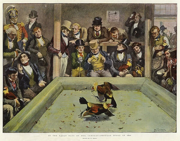 In the early days of our Century, Popular Sport in 1800 (colour litho)