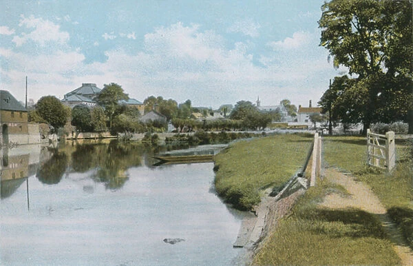 The Elms and River Thames at Abingdon (photo)
