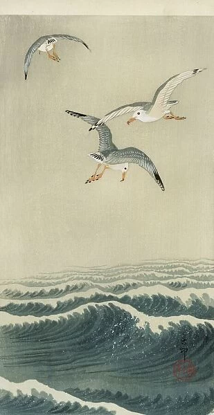 Gulls at Sea, 1910 (colour woodblock print)