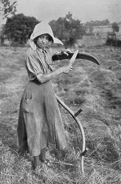 Harvesting - Member of the Leicester Womens Volunteer Reserve helping a farmer