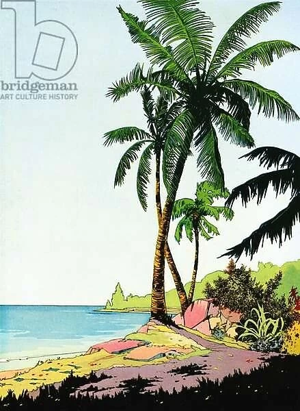 Illustration of Beach Paradise with Palm Trees, 1926 (screen print)