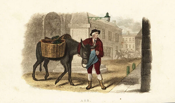 Itinerant vegetable seller reunited with his faithful ass in London