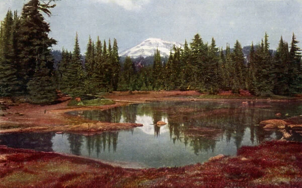 In the Oregon Mountains (colour litho)