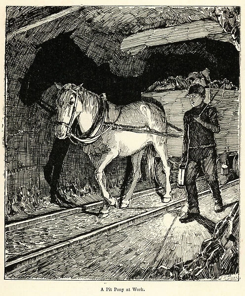 A Pit Pony at Work (engraving)