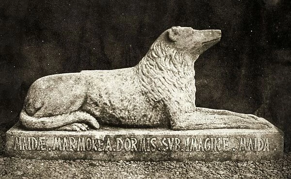 Statue of Maida, reported to be Sir Walter Scotts Favourite Dog. (sepia photo)