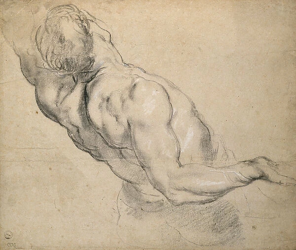 Study of a nude male Torso (charcoal partly stumped and heightened with white chalk