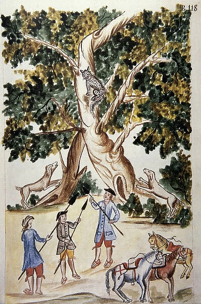 A wild cat perches on a tree, hunters await it, from the book '