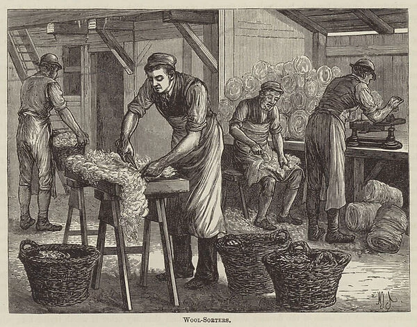 Wool-Sorters (engraving)