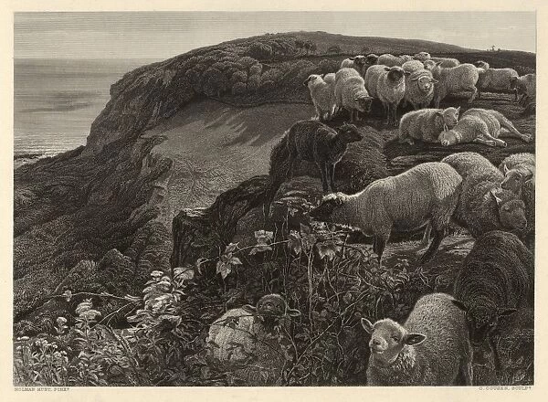 Drawings Prints, Print, Hill Side, Strayed Sheep, Artist, Engraver, William Holman Hunt