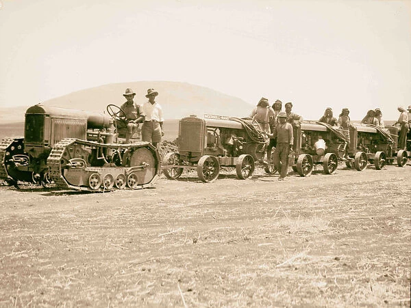 I. P. C Iraq Petroleum Company Convoy tractors
