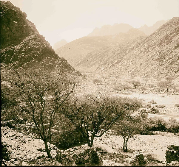 Sinai Junction Wady Feiran Wady Aleyat 1898 Egypt