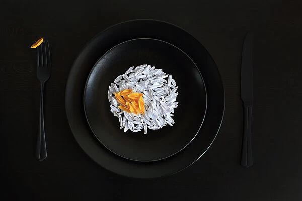 A fried egg for the origami master