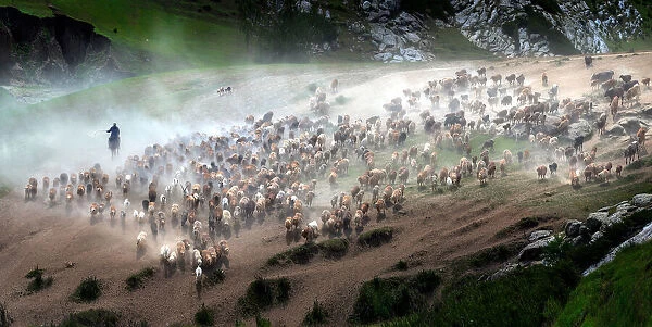 The great migration of Kazakh
