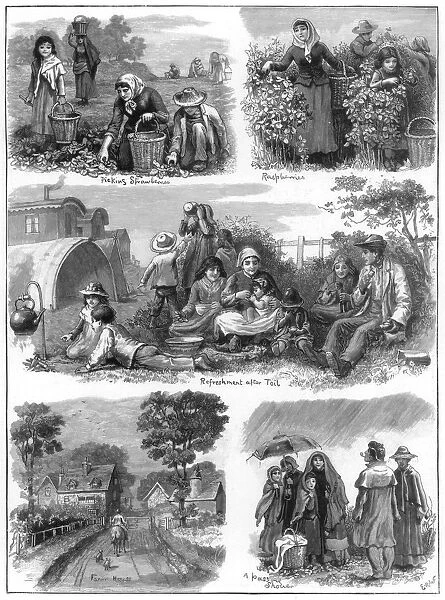 Fruit gatherers, 1899