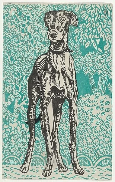 Greyhound, 1912. Creator: Moritz Jung