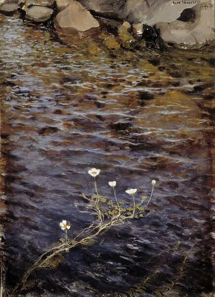 Pond Water Crowfoot, 1895