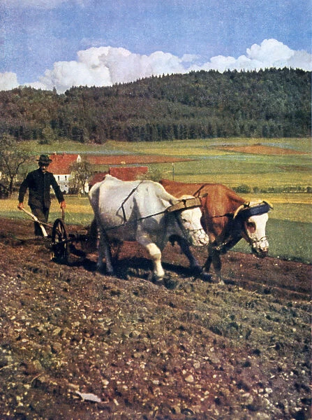 Tilling, Germany, 1943