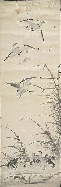 Wild Geese and Reeds, 1392-1910. Creator: Unknown